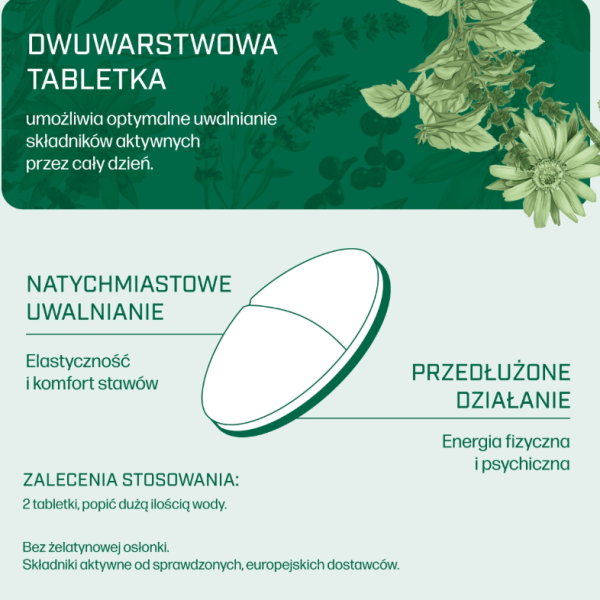 IANA Stawy Elastyczność + Energia 60 tabletek