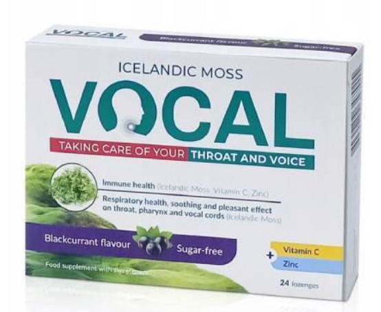 Vocal Tabletki Na Gardło Czarna Porzeczka Bez Cukru 24 Pastylki do Ssania