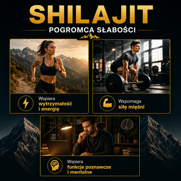 Himalaya Shilajit Resin 100 % czysty himalajski shilajit 20 g